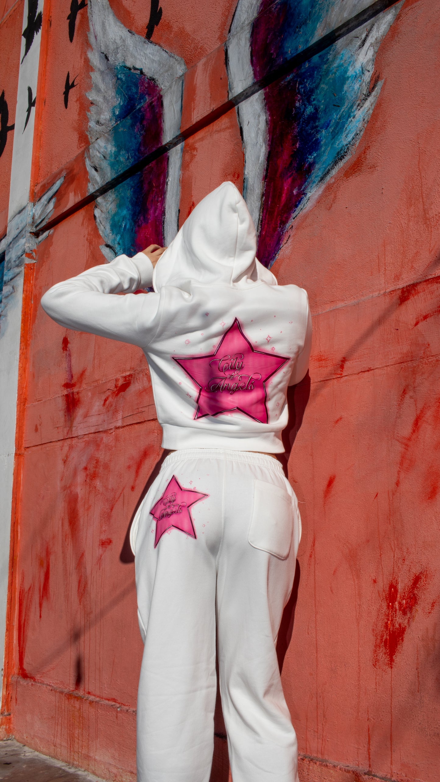 Starred Cropped Hoodie